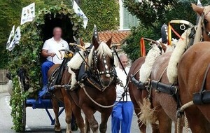 Fête de la charrette Saint Michel à Cabannes