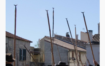 Fête des gardians
